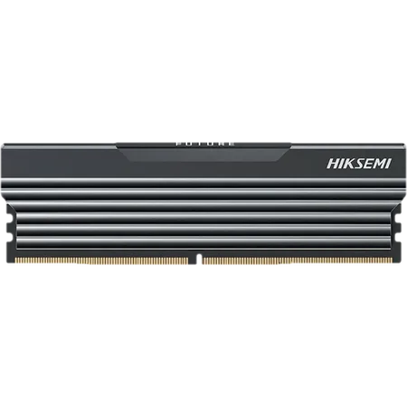 Memoria RAM Hiksemi Future Black