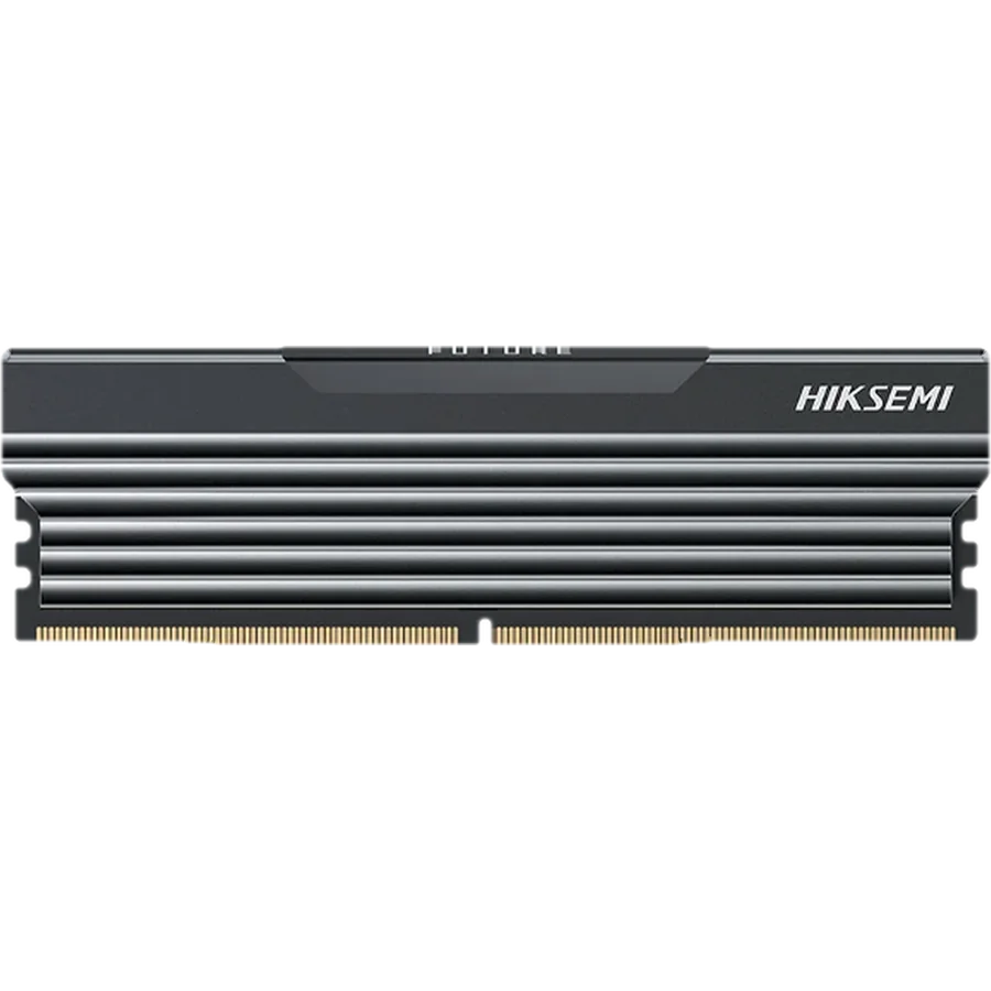 Memoria RAM Hiksemi Future Black
