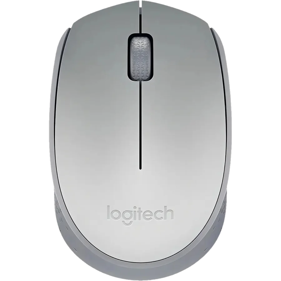 Mouse Logitech M170 BLUE/GREY