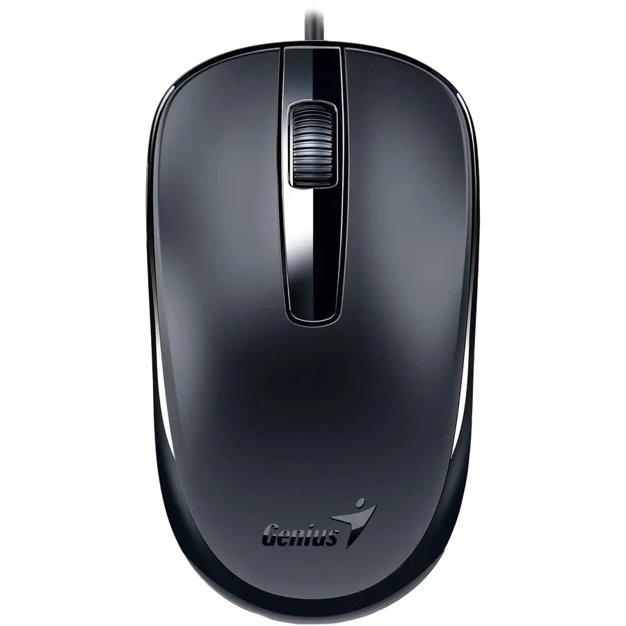 Mouse Genius DX-120 Black Caja Dañada