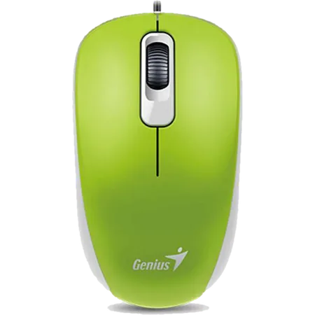 Mouse Genius DX-120 Green