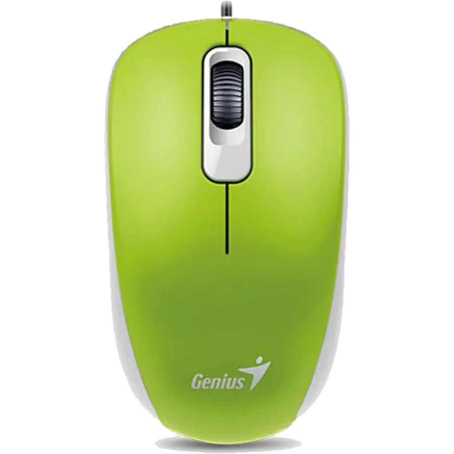Mouse Genius DX-120 Green