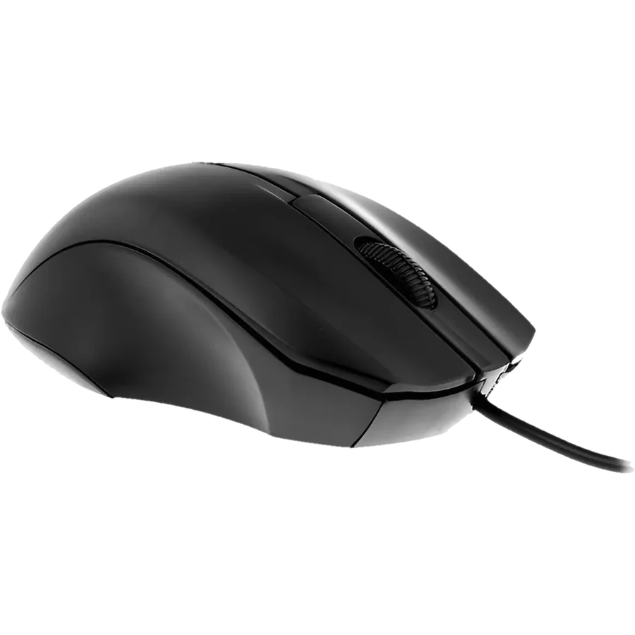 Mouse X-TECH RES 800DPI